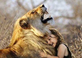 Bireysel Danışmanlık